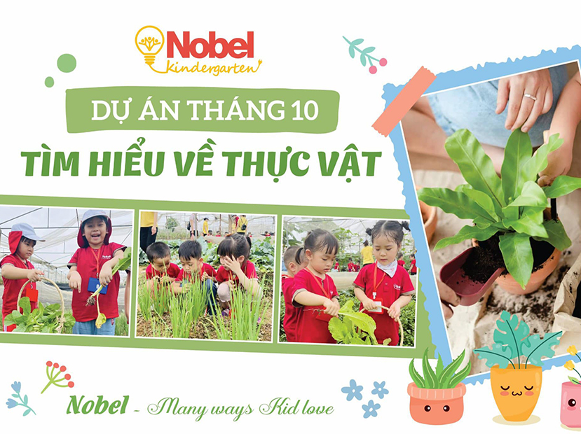DỰ ÁN TÌM HIỂU VỀ THỰC VẬT