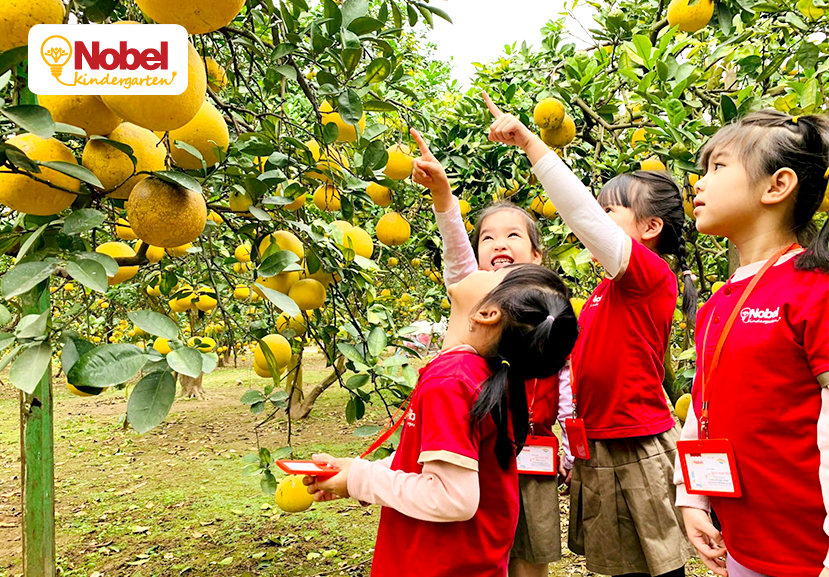 THAM QUAN VƯỜN BƯỞI TẾT